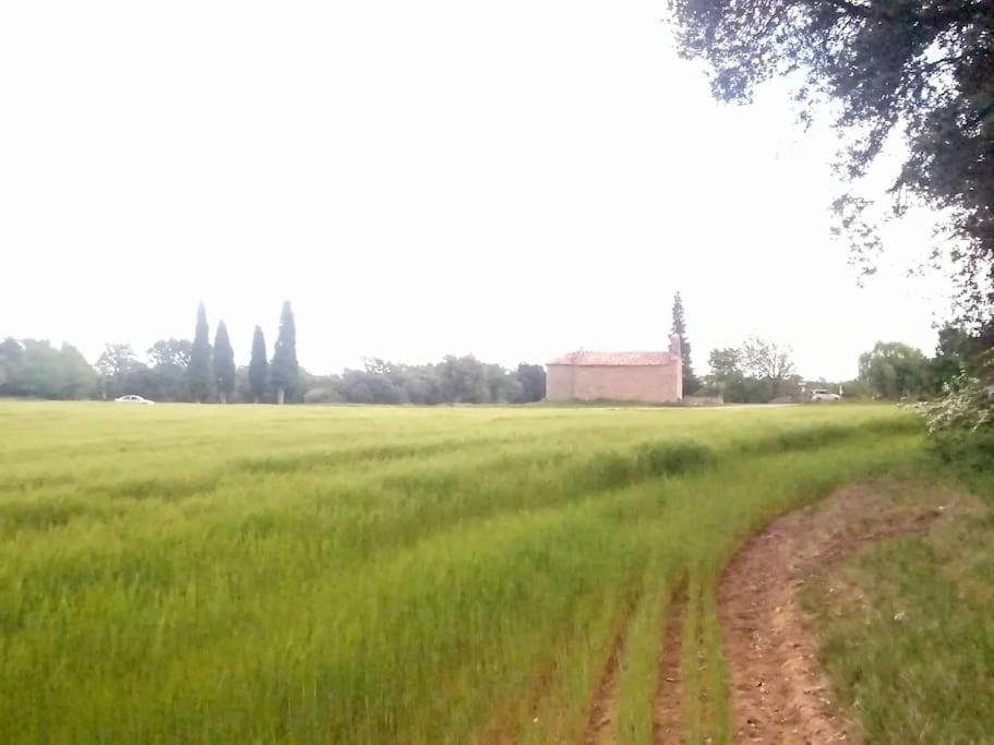 Appartement El Niuet De Cal Cacuet, La Teva Escapada Rural. *