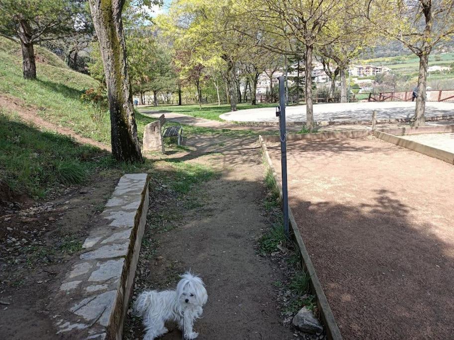El Niuet De Cal Cacuet, La Teva Escapada Rural. Appartement